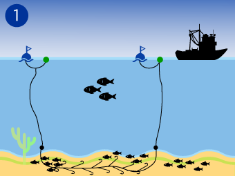 Fishing Gear Types 101: Longlines & Hook and Line — Monterey Bay Fisheries  Trust