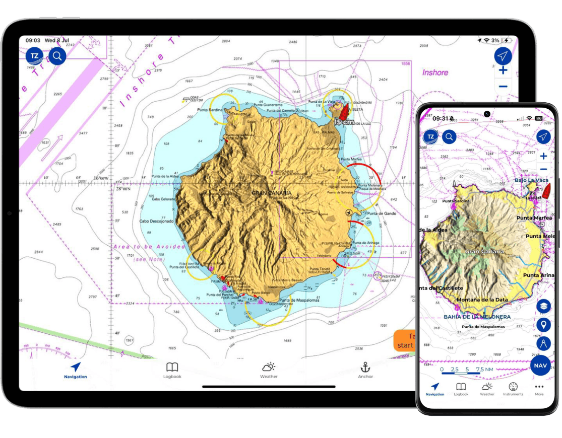 TZ Maps -Vector VS Raster
